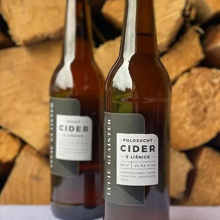 Lyzarska Bouda Domovina Szálloda Špindlerŭv Mlýn