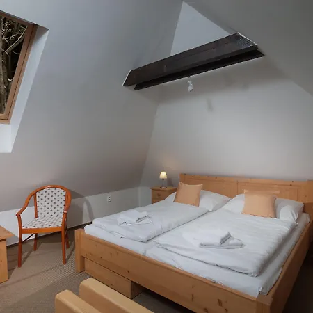 Lyzarska Bouda Domovina 3* Špindlerŭv Mlýn