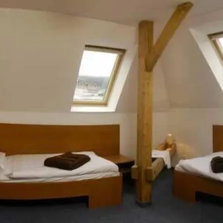 Lyzarska Bouda Domovina 3* Špindlerŭv Mlýn