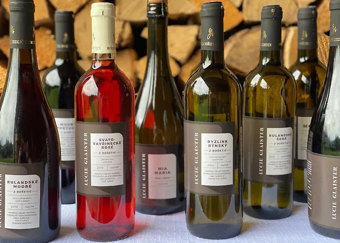 Lyzarska Bouda Domovina Špindlerŭv Mlýn