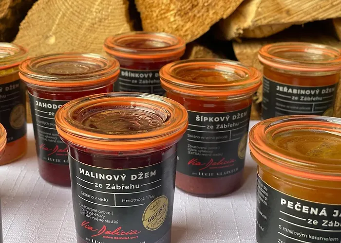 酒店 Lyzarska Bouda Domovina 3*