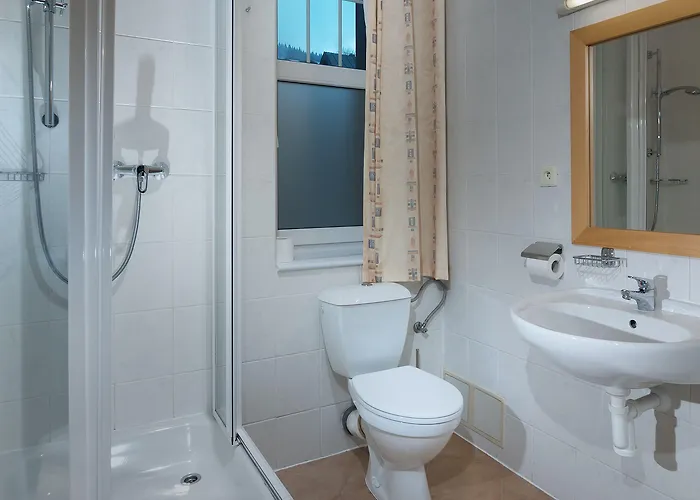 Lyzarska Bouda Domovina