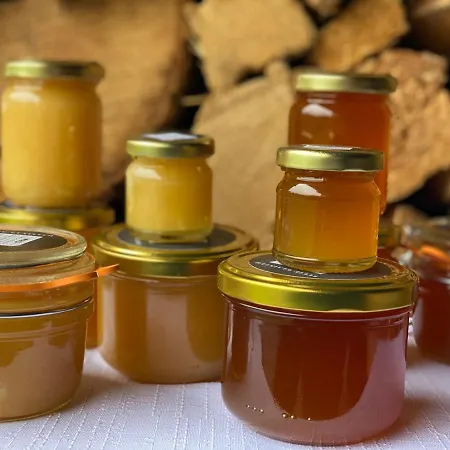 Lyzarska Bouda Domovina 3* Spindleruv Mlyn