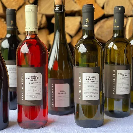 Lyzarska Bouda Domovina スピンドレルフ・ムリン