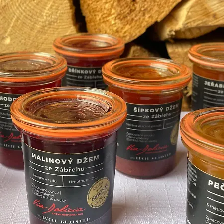 Hotel Lyzarska Bouda Domovina 3*