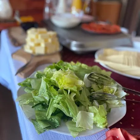 Lyzarska Bouda Domovina Hotel