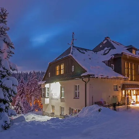 Lyzarska Bouda Domovina 3*