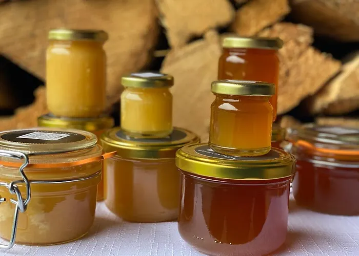 Lyzarska Bouda Domovina 3* Szpindlerowy Młyn