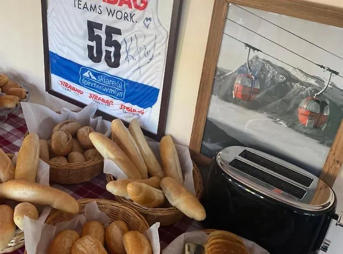 Lyzarska Bouda Domovina Отель