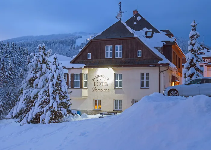 Ξενοδοχείο Lyzarska Bouda Domovina