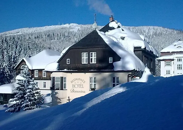 Lyzarska Bouda Domovina