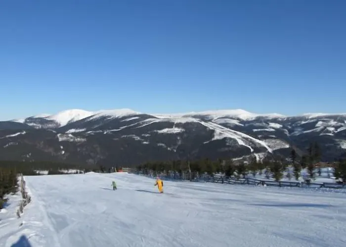 Отель Lyzarska Bouda Domovina 3*